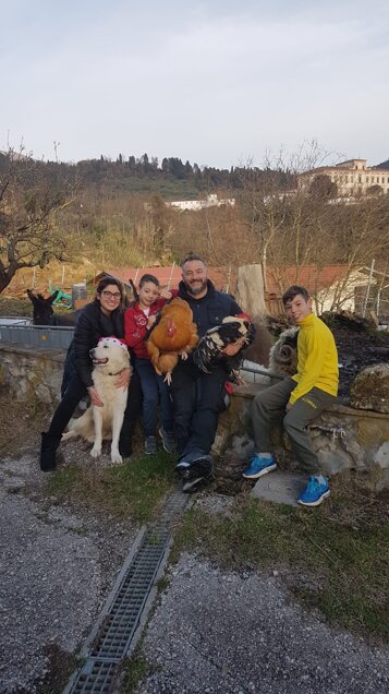 Galline ornamentali e un cane da pastore nel cortile della fattoria