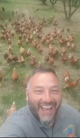 Le galline che razzolano libere nei campi dell’azienda