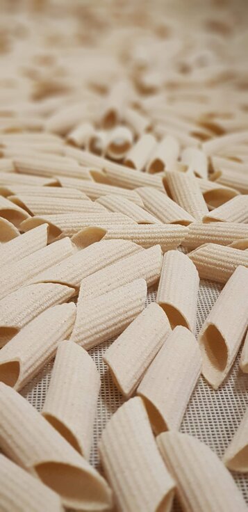 Penne di semola Senatore Cappelli durante l’essiccazione